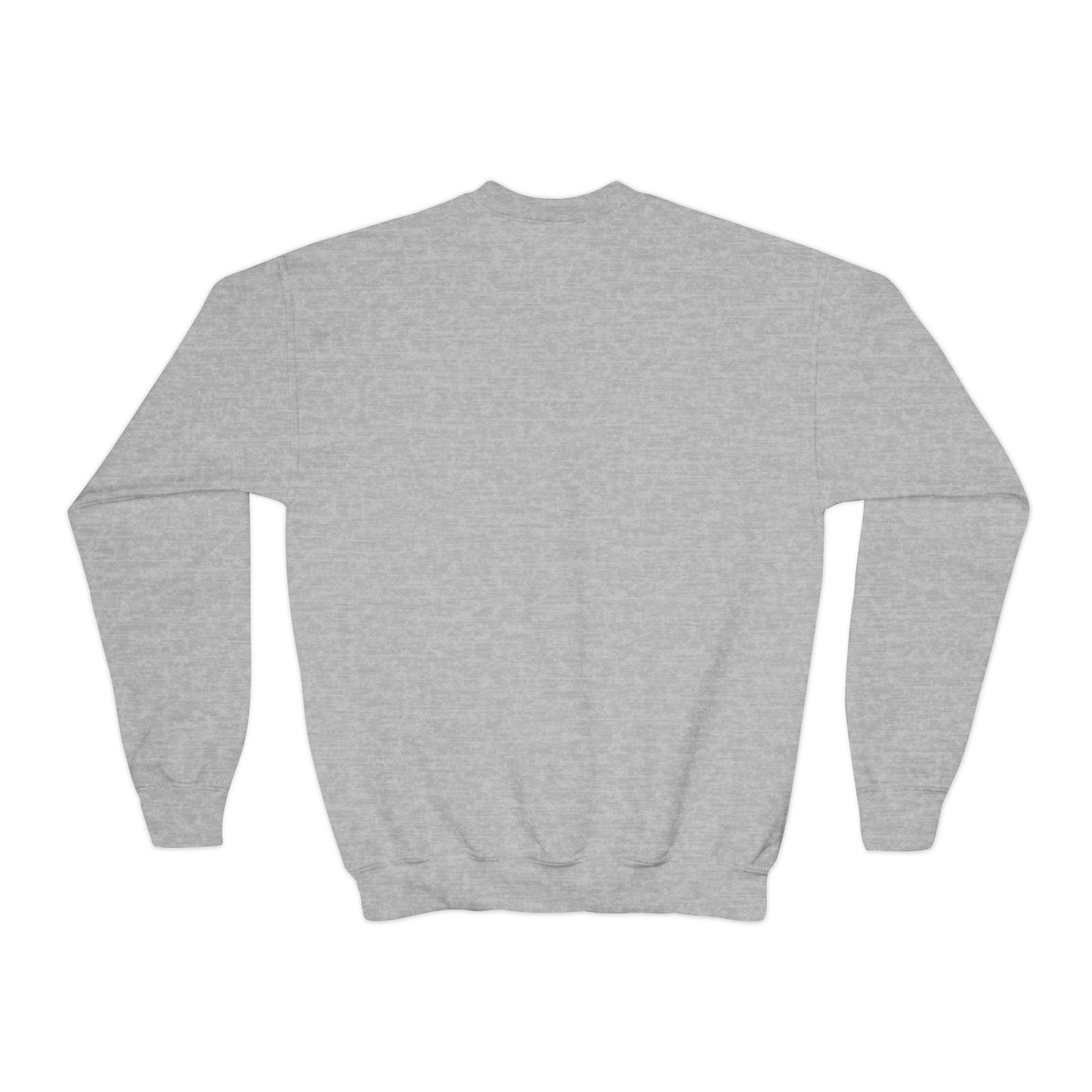 Almost Perfect (Youth Crewneck Sweatshirt)