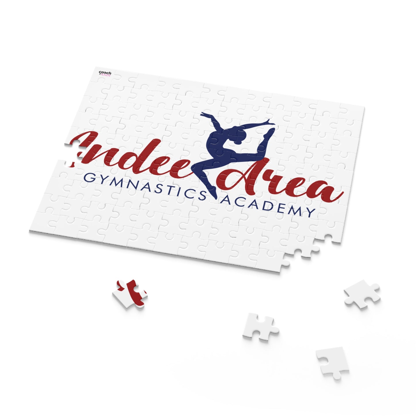 Indee Area Gymnastics Academy (Puzzle (120, 252, 500-Piece)