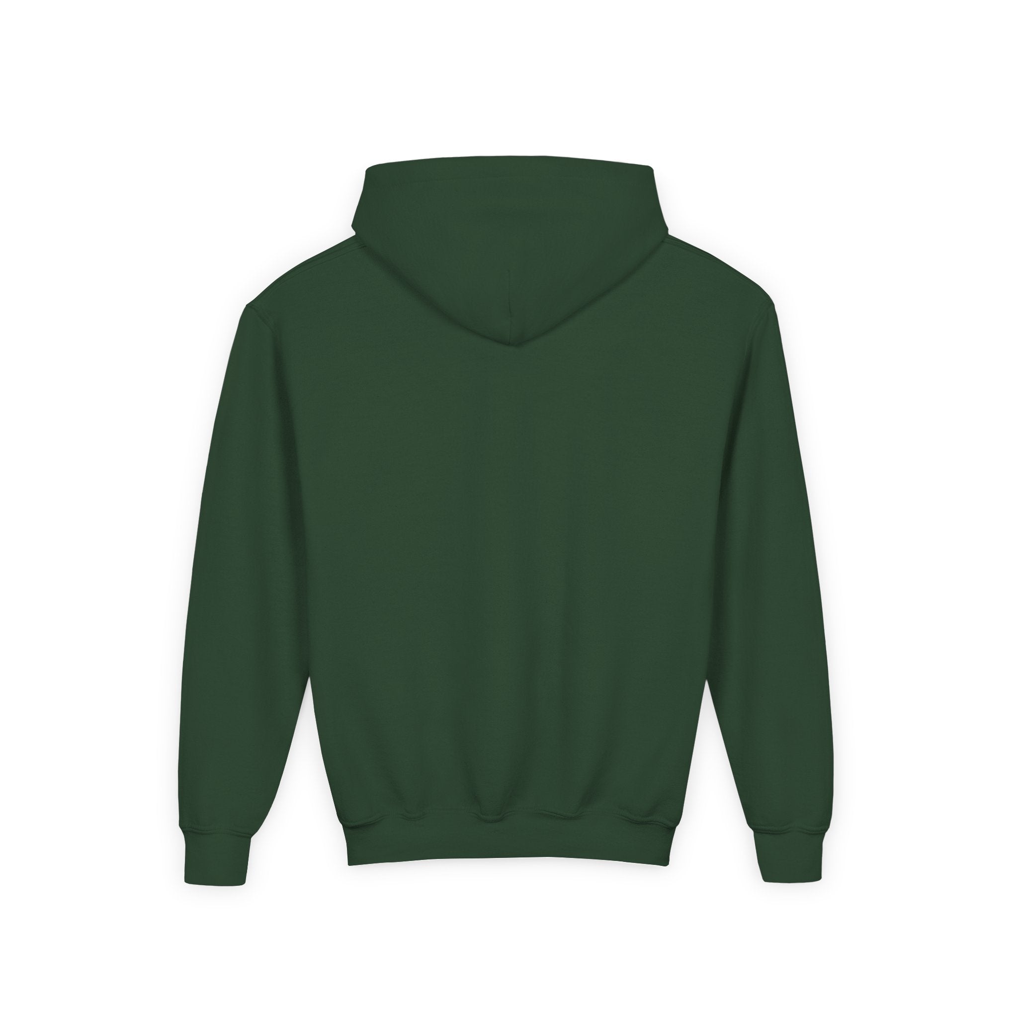 Things I learned as a Gymnast Hoodie - Red (Youth)