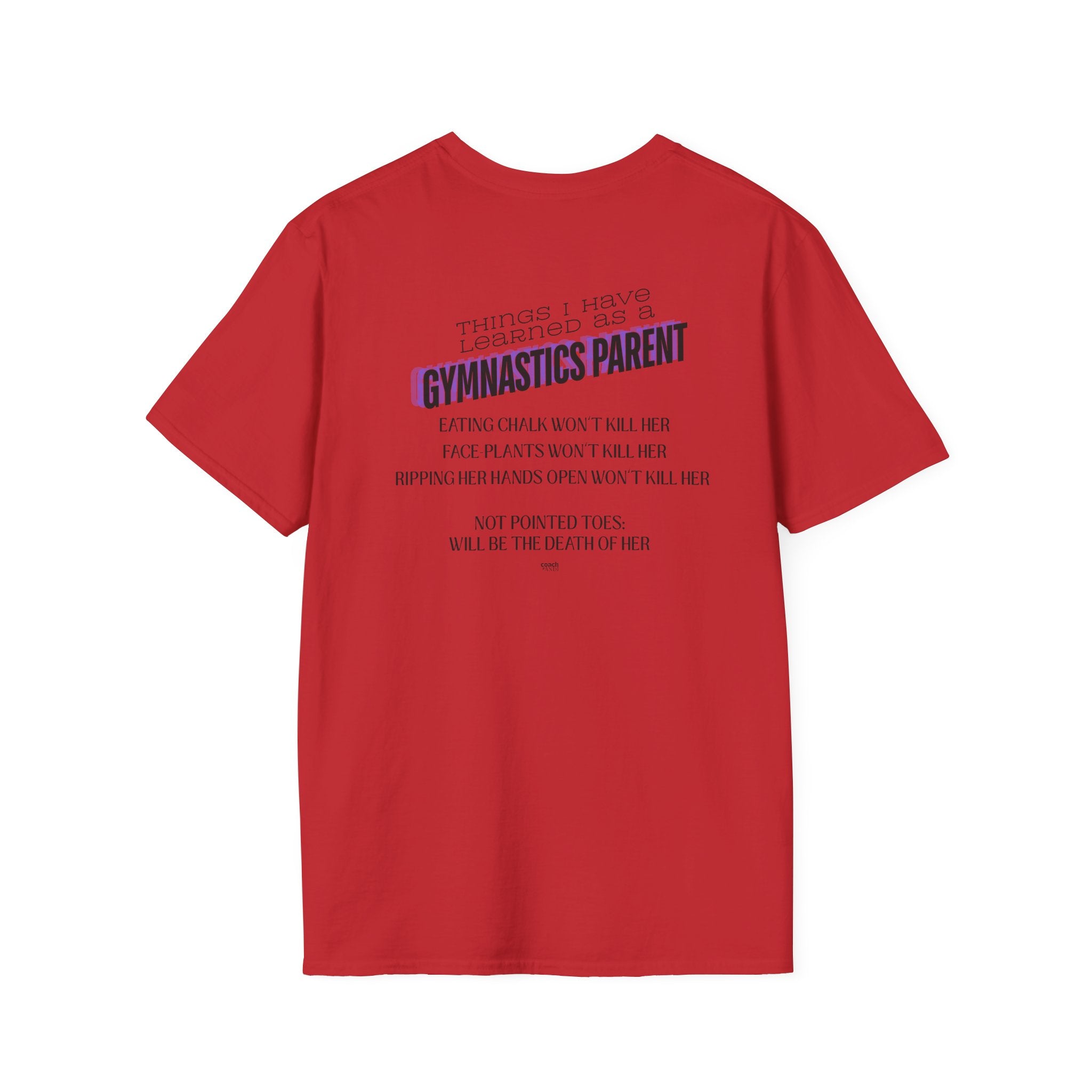Things I learned as a Parent Dad Tee - Blue