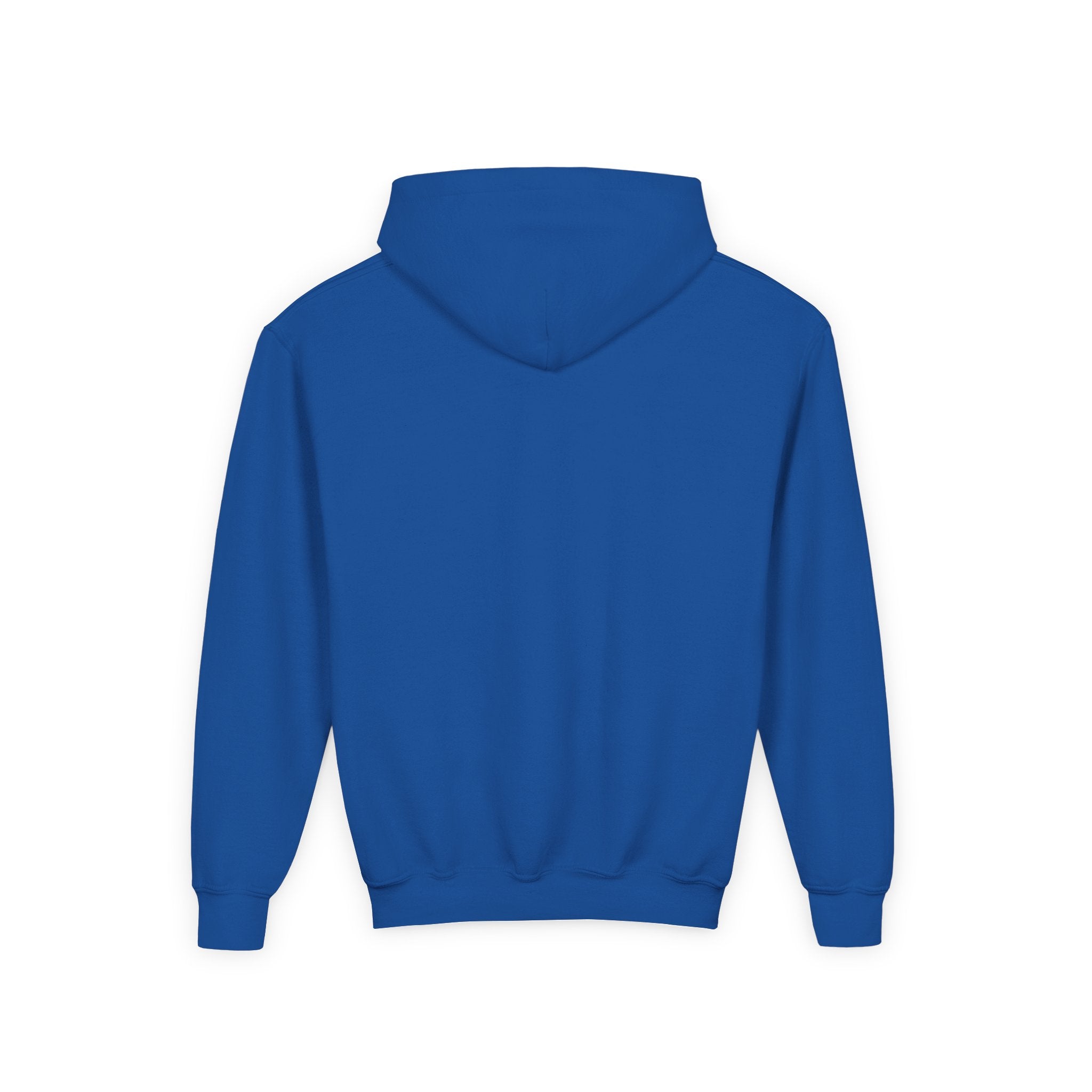 Things I learned as a Gymnast Hoodie - Red (Youth)