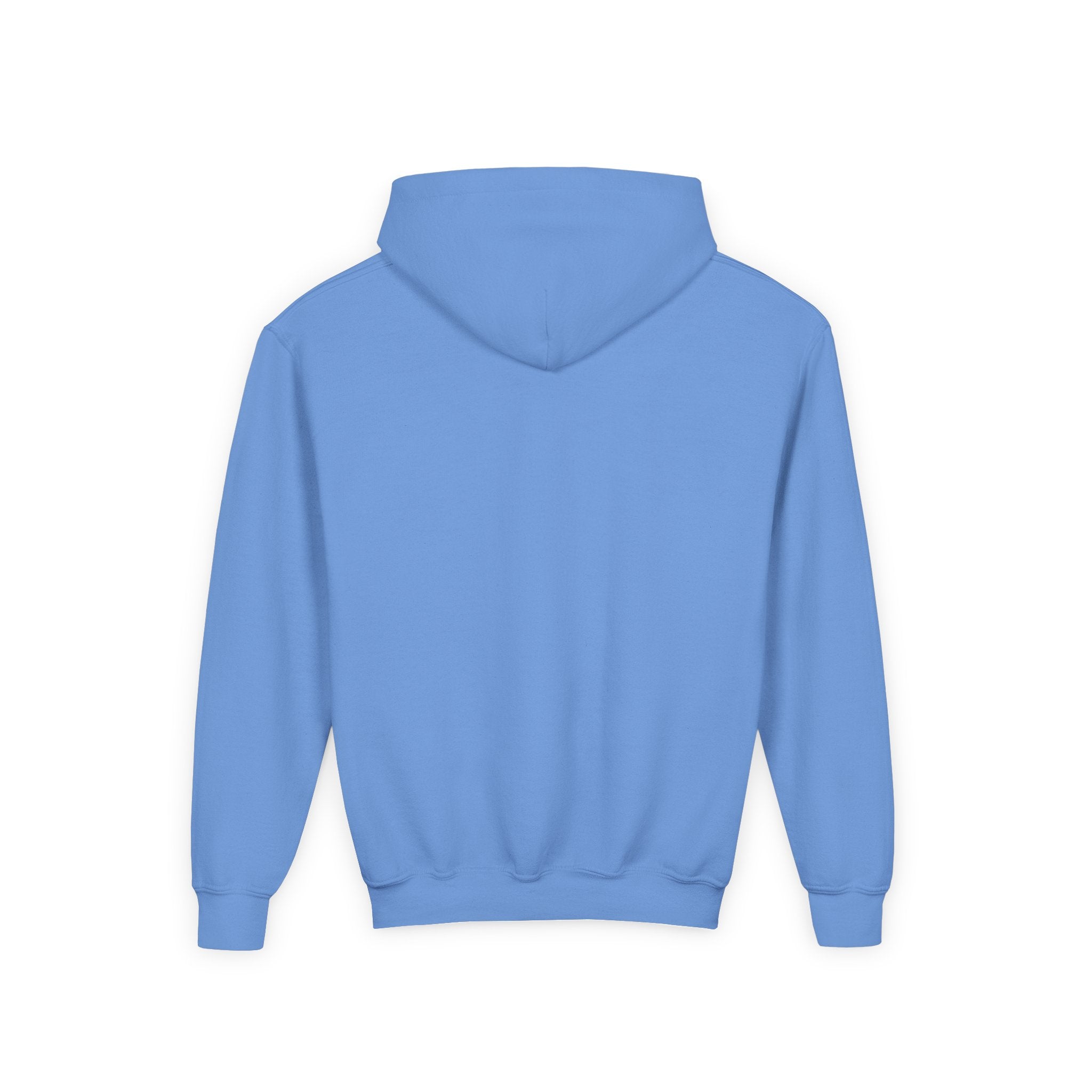 Things I learned as a Gymnast Hoodie - Red (Youth)