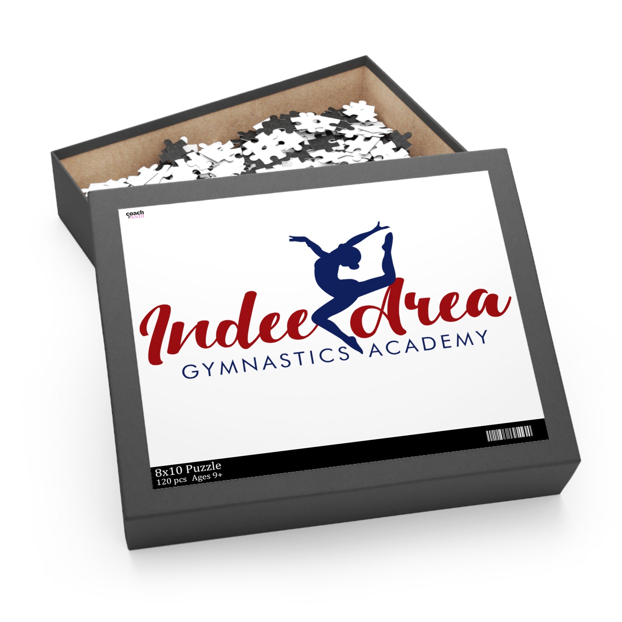 Indee Area Gymnastics Academy (Puzzle (120, 252, 500-Piece)