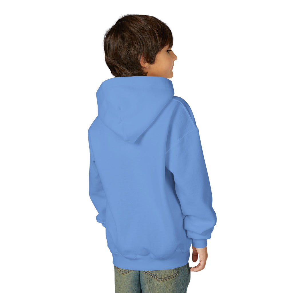 Things I learned as a Gymnast Hoodie - Red (Youth)